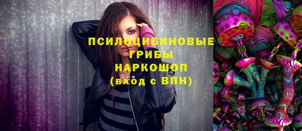 ГАЛЛЮЦИНОГЕННЫЕ ГРИБЫ Беломорск
