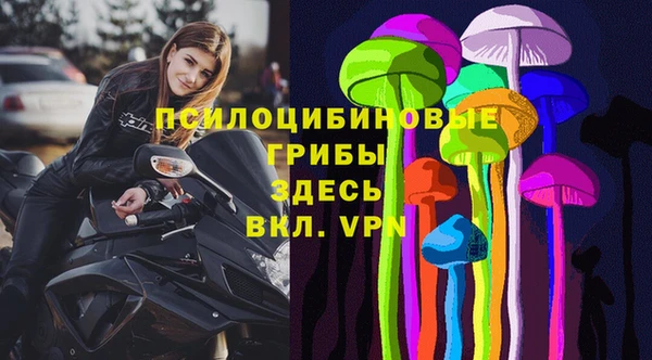 ГАЛЛЮЦИНОГЕННЫЕ ГРИБЫ Беломорск