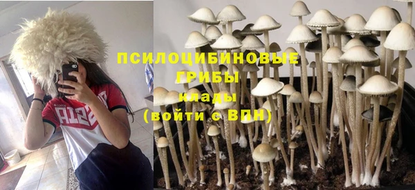 скорость Белокуриха