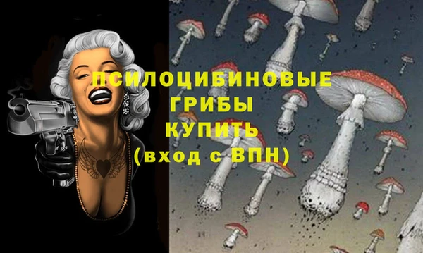 ГАЛЛЮЦИНОГЕННЫЕ ГРИБЫ Беломорск