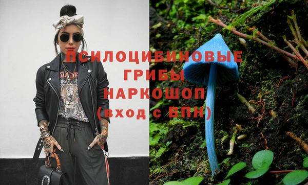ГАЛЛЮЦИНОГЕННЫЕ ГРИБЫ Беломорск
