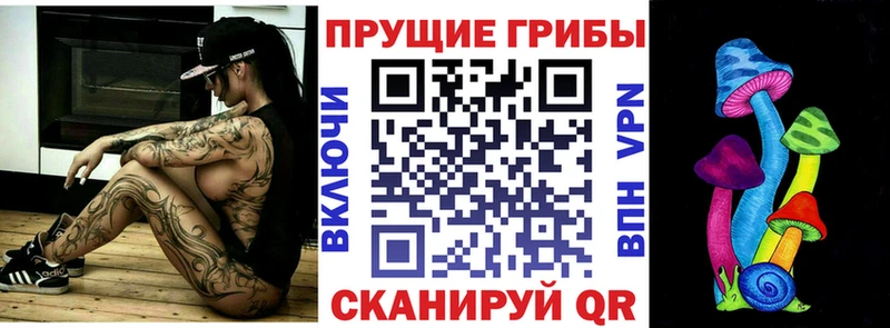 цена   Кузнецк  Галлюциногенные грибы Psilocybine cubensis 